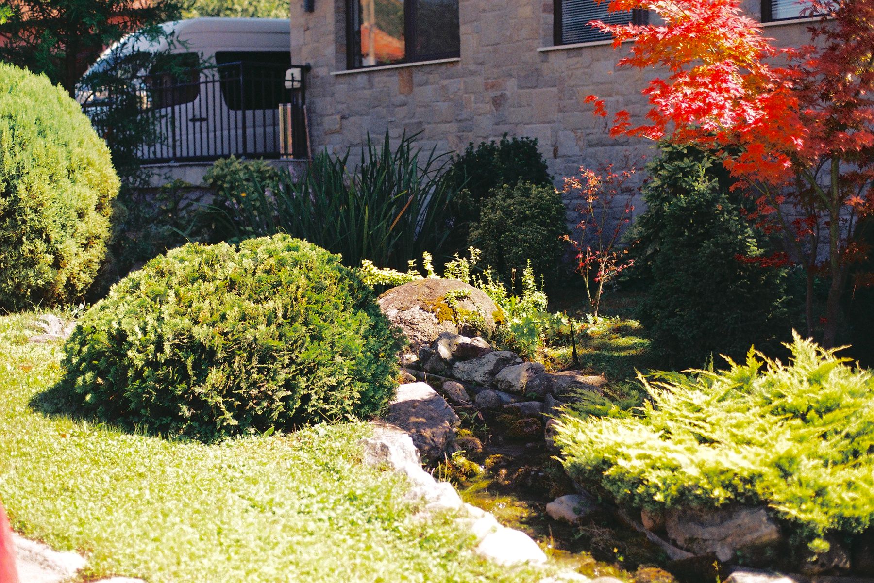 Manicured shrubs, stone borders and a Japanese maple in a front yard