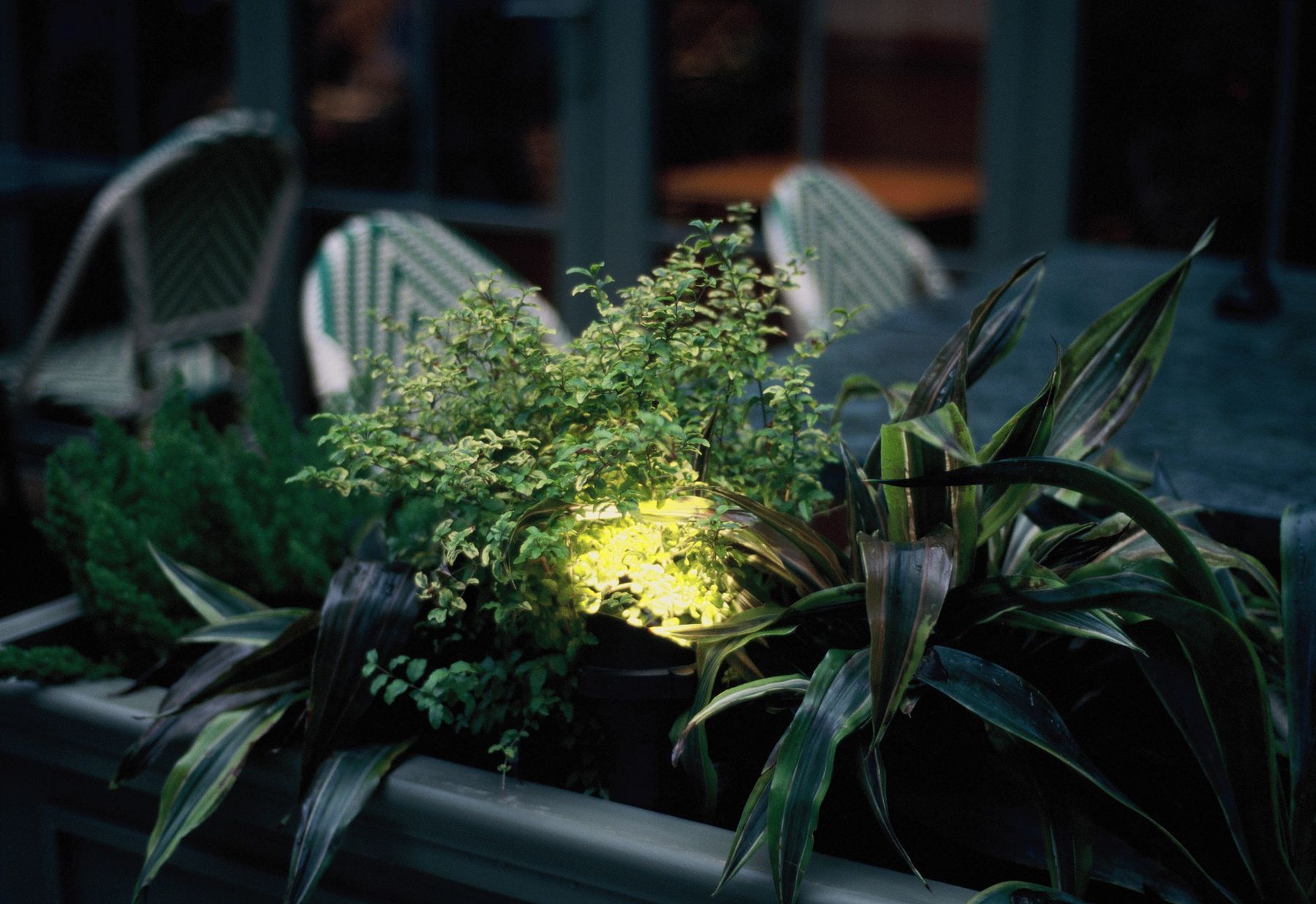 Accent lighting glowing through patio planters at night